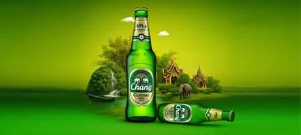 Brand Portfolio